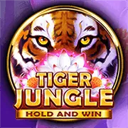 Bảo mật và cá cược có trách nhiệm tại s8bet