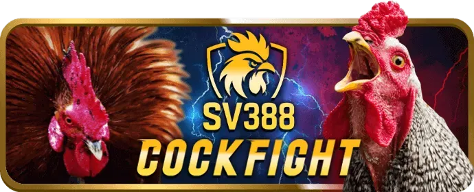 Hoàn trả hàng tuần và ưu đãi VIP tại S8BET